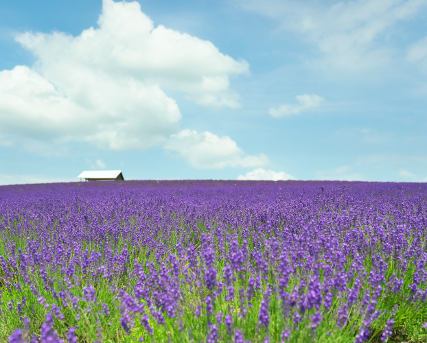 北海道のエリア画像